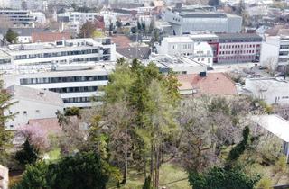 Grundstück zu kaufen in Hartlsteig, 7000 Eisenstadt, attraktives Grundstück mit Altbaumbestand in Bestlage von Eisenstadt