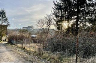 Grundstück zu kaufen in 8510 Stainz, Liebhabergrundstück bei Stainz – Großes Grundstück mit Sanierungsobjekt und Erweiterungspotenzial