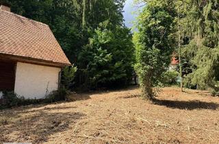 Grundstück zu kaufen in 8510 Stainz, Liebhabergrundstück bei Stainz – Großes Grundstück mit Sanierungsobjekt und Erweiterungspotenzial