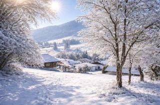 Grundstück zu kaufen in 6344 Walchsee, Walchsee – Baugrundstück in der Straße Seeblick