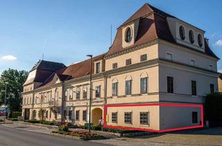 Büro zu mieten in 3800 Göpfritz an der Wild, Büro/Praxis - neu saniert