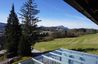 Einfamilienhaus kaufen in 5303 Thalgau, NEU - THALGAU - Geräumiges Einfamilienhaus mit Wintergarten, Doppelgarage, Sauna, Solaranlage, Kachelofen uvm.