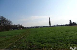 Grundstück zu kaufen in 8530 Deutschlandsberg, Attraktives Baugrundstück in sonniger Ruhelage am Stadtrand