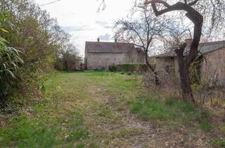 Grundstück zu kaufen in 7100 Neusiedl am See, Großes Grundstück in Neusiedl am See