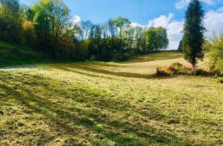 Grundstück zu kaufen in Aichetstraße, 4631 Haiding, SONNIGES WOHNAMBIENTE IN WALDRANDLAGE!