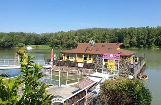 Gewerbeimmobilie kaufen in 3422 Greifenstein, "Die African Queen auf der Donau deine Chance auf Kult Gastro mit Traumlage"