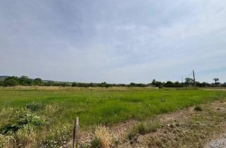 Grundstück zu kaufen in 7083 Purbach am Neusiedler See, sonniges Baugrundstück in ruhiger Lage in Purbach