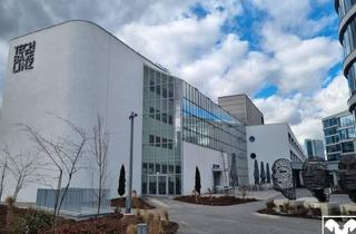 Büro zu mieten in 4020 Linz, Großzügige Bürofläche in frequentierter Lage; auch Teilflächen mietbar!