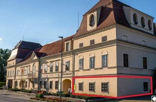 Büro zu mieten in 3800 Göpfritz an der Wild, Büro/Praxis - neu saniert