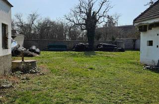 Bauernhäuser zu kaufen in Zickhöhe 6, 7142 Illmitz, Haus/Baugrundstück zu verkaufen