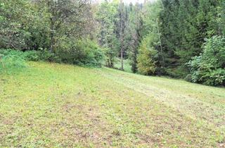 Grundstück zu kaufen in 8661 Wartberg im Mürztal, WUNDERBARER, SONNIGER Baugrund in WARTBERG zu VERKAUFEN!