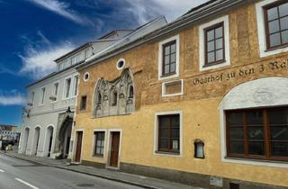 Geschäftslokal mieten in Hainburg, 2410 Hainburg an der Donau, Historischer Gasthof mit Gastgarten und Gästezimmern - Hainburg