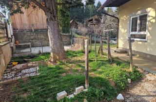 Lager kaufen in 8510 Stainz, Naturparadies für Tier- & Pferdeliebhaber - Fischteich und Reitplatz in 8510 Stainz/Weststeiermark