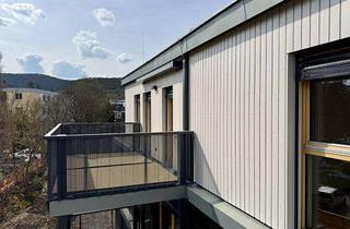 Wohnung kaufen in Quellenstraße 13b, 2340 Mödling, GRÜNE STADTVILLEN - 3 Zimmer mit Balkon und Sichtholz in der Wohnung! | Ruhe - Natur - Holz | Provisionsfrei!