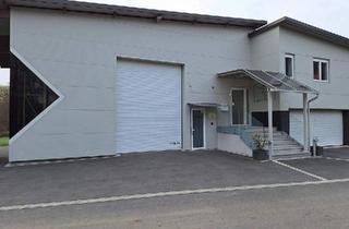 Büro zu mieten in 8343 Trautmannsdorf, Betriebsstätte, Lager, Werkstatt, Büro in Bad Gleichenberg Südoststeiermark (Provisionsfrei)