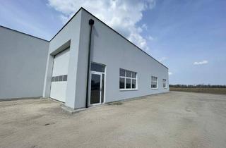 Gewerbeimmobilie mieten in 2601 Sollenau, LKW Werkstatt/Halle PROVISIONSFREI!! mit Dachkuppel und Sektionaltor 25m lang (Halle T3)