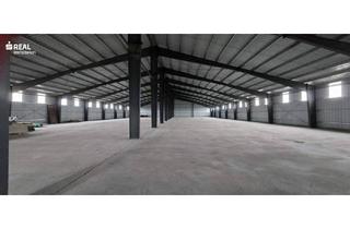 Gewerbeimmobilie kaufen in 2272 Niederabsdorf, große Halle in Niederabsdorf