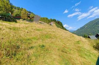Grundstück zu kaufen in 9564 Patergassen, 3000 m² Baugrundstück für Hobby Landwirte und Häuselbauer mit Blick auf Berge und in die Ferne.