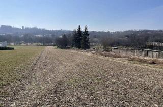 Grundstück zu kaufen in Klingenbacherstraße, 7021 Draßburg, 2.273 m² SÜD-GRUNDSTÜCK NÄHE MATTERSBURG/SIEGENDORF - GRÜNRUHELAGE!