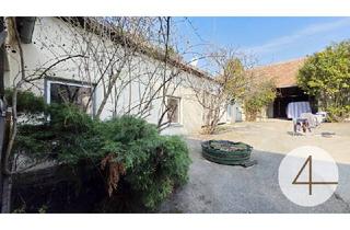 Wohnung kaufen in Landersdorfer Straße, 3500 Krems an der Donau, Wohnung mit Garten und Nebengebäude