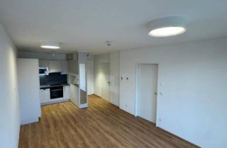 Wohnung mieten in Neugasse 6b, 7321 Raiding, Barrierefreies Wohnen im Alter – Moderne Wohnungen mit umfassender Betreuungspauschale | Top 20 | Franz Drescher gGmbH