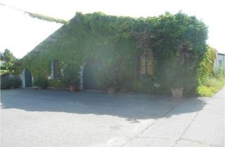 Gewerbeimmobilie kaufen in 7122 Gols, Versteigerung: großzügiger Weinguts-Betriebsstandort mit Hallen und Lagerflächen