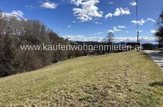 Grundstück zu kaufen in 8411 Lamberg, Ruhig gelegenes Baugrundstück mit ca. 1300m2 Bauland und über 5000m2 Wald/Wiesenfläche!