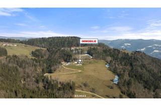 Gewerbeimmobilie kaufen in Rabensteingreuth 35, 9473 Lavamünd, Herrliches Anwesen in traumhafter Alleinlage: Landwirtschaft mit modernem Wohnhaus