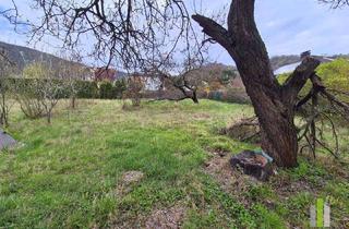 Grundstück zu kaufen in 2410 Hainburg an der Donau, Attraktives Baugrundstück in Hainburg an der Donau