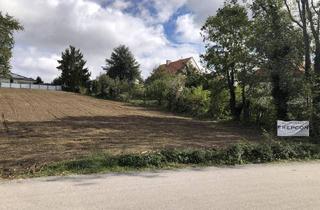 Grundstück zu kaufen in 7000 Eisenstadt, Baugrundstück in Bestlage