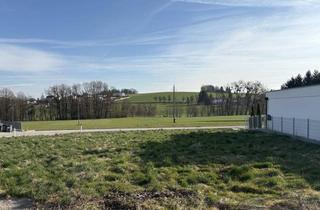 Grundstück zu kaufen in 4921 Hohenzell, Baugrundstück ohne Bauverpflichtung in attraktiver Lage Nähe Ried i.I.