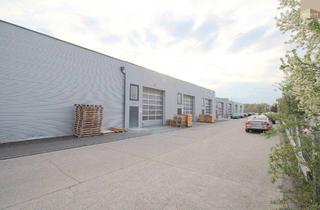 Büro zu mieten in Tattendorfer Gasse, 2512 Tribuswinkel, Büro in TOP Lage