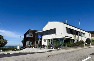 Büro zu mieten in 4201 Eidenberg, Büro mit Wohlfühlfaktor mitten in Eidenberg - hell, modern und klimatisiert