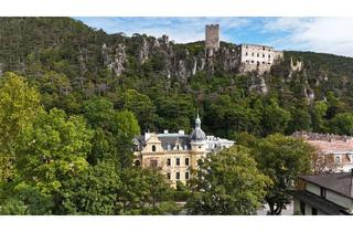 Loft kaufen in 2500 Baden, Historische Villa mit 3 DG-Einheiten inkl. Terrassen I 2012 DG Ausbau inkl. Lift I Grünlage