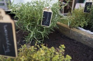 Wohnung mieten in 8045 Graz, 300€ MIETBONUS - Traumwohnung in Graz-Andritz