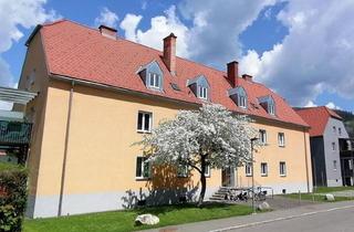 Wohnung mieten in Am Platz 3/5, 8793 Trofaiach, Erstbezug nach Sanierung - nette Wohnung im Grünen!