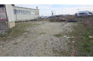 in 2301 Groß-Enzersdorf, Freiflächen zwischen 200m² und 300m²