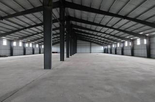 Lager kaufen in 2272 Niederabsdorf, große Halle in Niederabsdorf