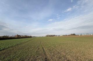 Grundstück zu kaufen in 3430 Nitzing, cooming soon - großzügiges 3.198m² Grundstück (Grünland) in 3430 Tulln (Nitzing)