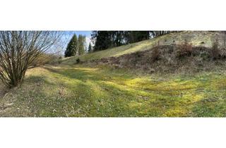 Grundstück zu kaufen in 5223 Pfaffstätt, Idyllischer Baugrund am Waldrand - kein Bauzwang, traumhafte Aussicht