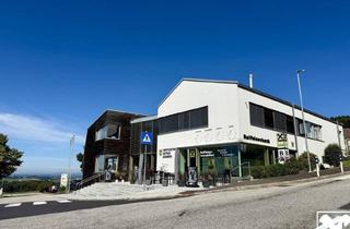 Büro zu mieten in 4201 Eidenberg, Büro mit Wohlfühlfaktor mitten in Eidenberg - hell, modern und klimatisiert