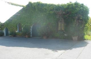 Lager kaufen in 7122 Gols, Versteigerung: großzügiger Weinguts-Betriebsstandort mit Hallen und Lagerflächen