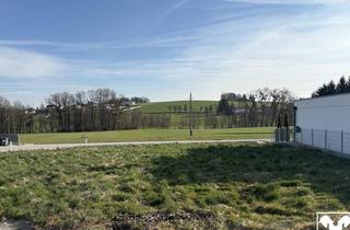 Grundstück zu kaufen in 4921 Hohenzell, Baugrundstück ohne Bauverpflichtung in Attraktiver Lage Nähe Ried I.I.