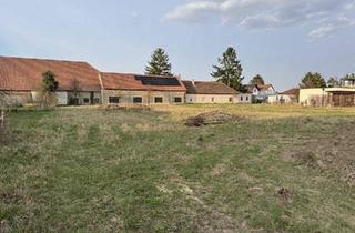 Grundstück zu kaufen in 3483 Wagram am Wagram, "Leistbarer Baugrund"