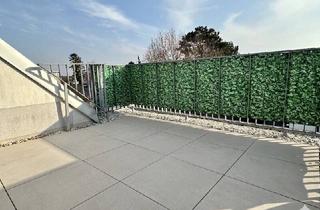 Reihenhaus kaufen in Lehenstraße, 1220 Wien, 5 Zimmer Reihenhaus inkl. Photovoltaikanlage! 2 Badezimmer! 3 Süd-West Terrassen! Nur 800m zur U2 Seestadt! 11min. nach Aspern Nord!