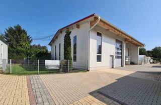 Gewerbeimmobilie mieten in 2500 Baden, Moderne Lagerboxen in Baden!