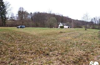 Grundstück zu kaufen in 8076 Vasoldsberg, #SQ - VASOLDSBERG: 15337M² GRUNDSTÜCK MIT ALTBESTAND IN SONNIGER ALLEINLAGE NAHE GRAZ