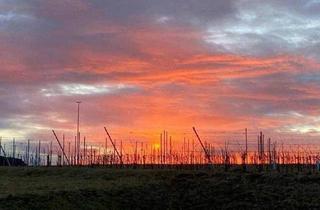 Grundstück zu kaufen in 8380 Jennersdorf, Ruheoase mit Weitblick