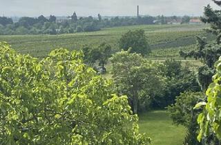Grundstück zu kaufen in 2504 Sooß, Sooß: Baugrundstück (2.059 m²) für Ihr Eigenheim
