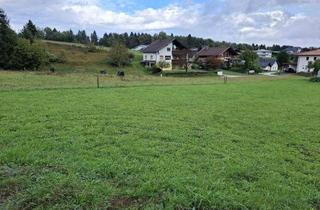 Grundstück zu kaufen in 9184 Sankt Jakob im Rosental, Bauland Sonnige Ruhige Lage